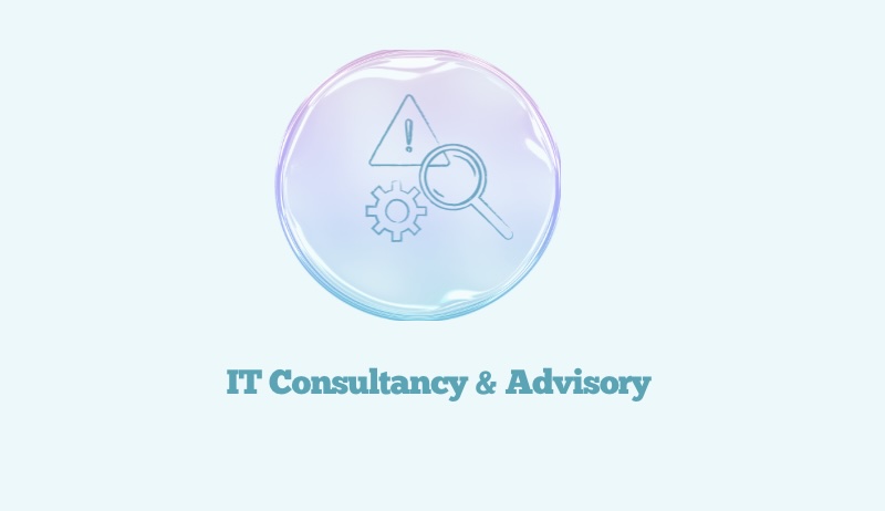 IT Consultancy & Advisory​