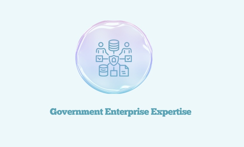 government enterprise expertise
