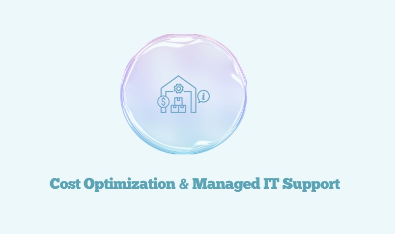 Cost Optimization & Managed IT Support