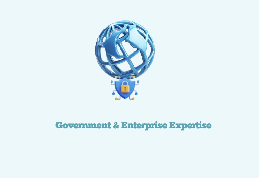 Enterprise & Government Expertise
