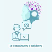 IT Consultancy